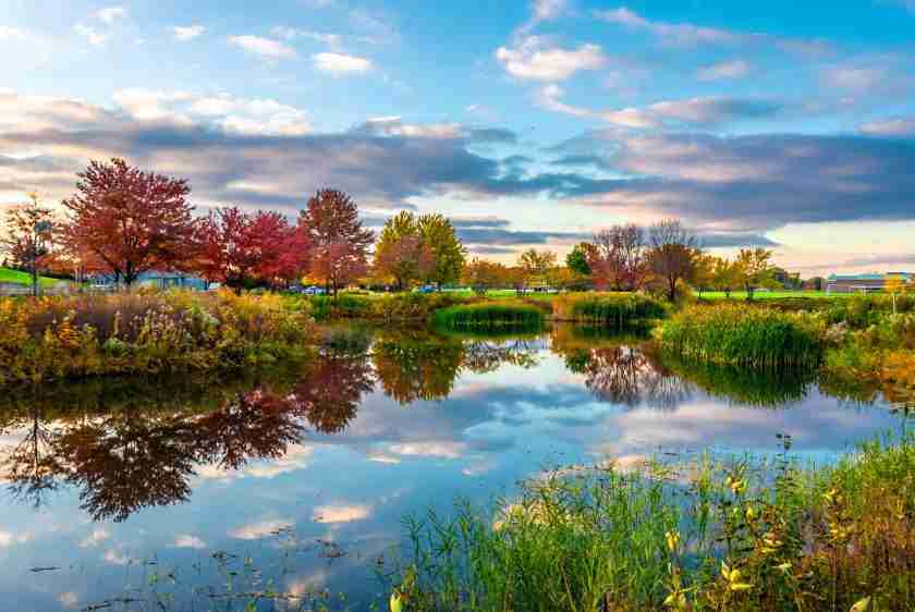 Des Plaines IL Blood Cleanup Services