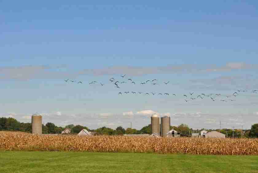 Homer Glen IL Death Cleanup Company Huuso Bio